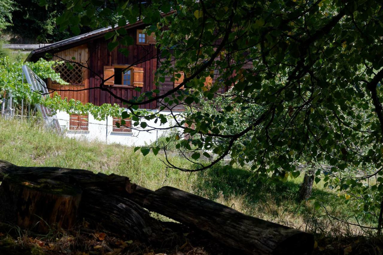 Landhaus Tenne บาร์โธโลเมแบร์ก ภายนอก รูปภาพ